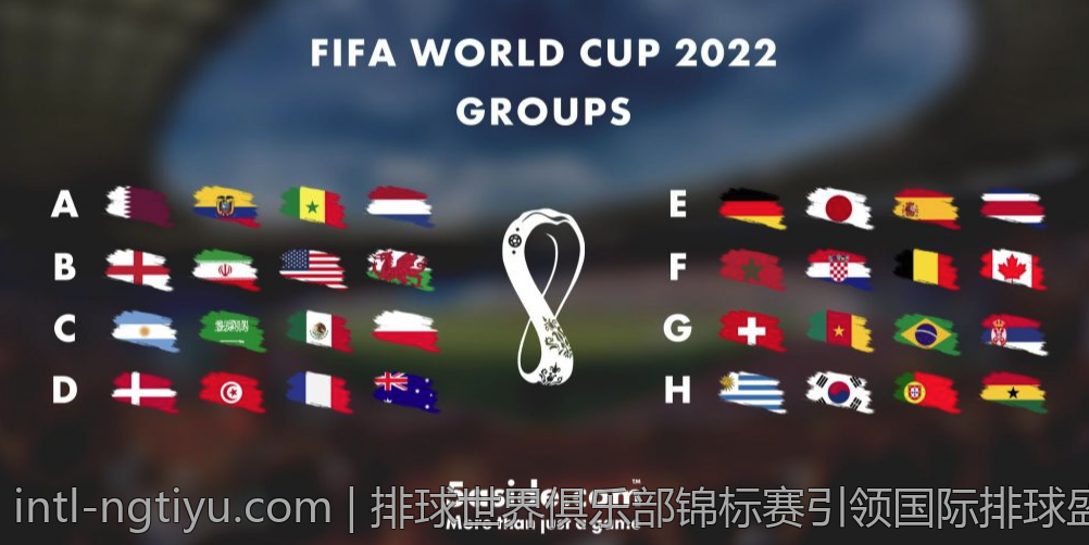 排球世界俱乐部锦标赛引领国际排球盛会